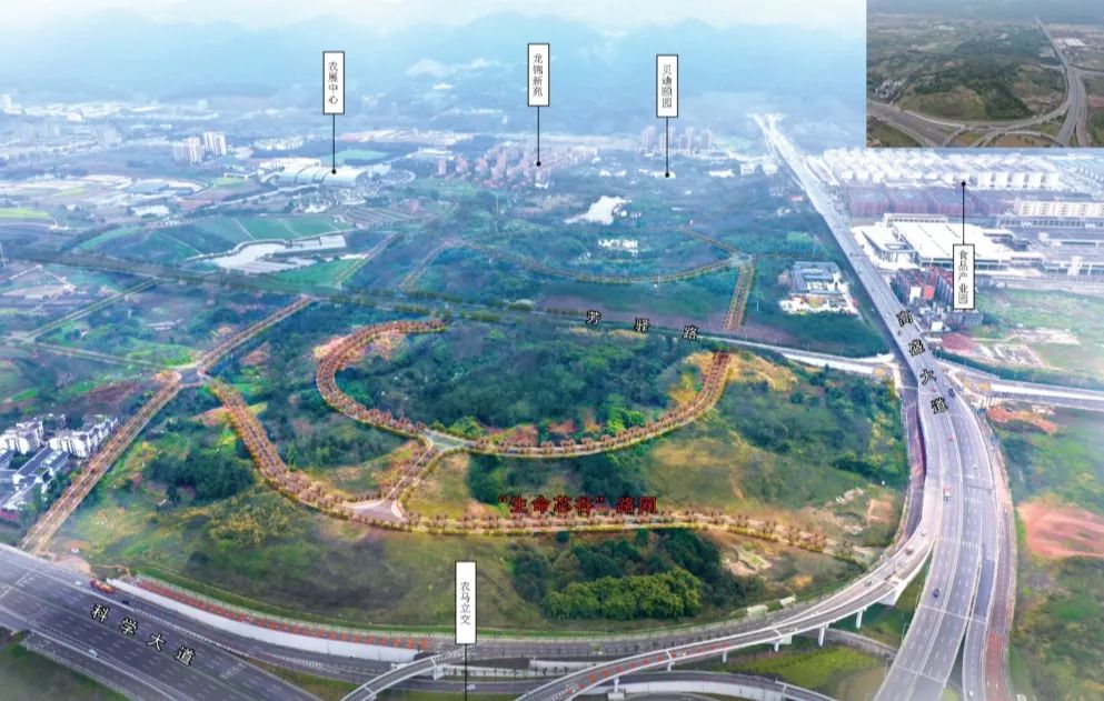 1651820135762153.jpg 4.jpg