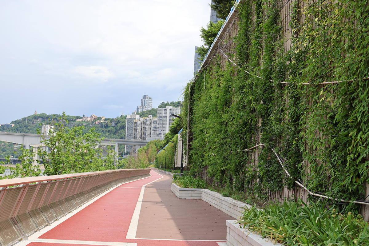 1753949564280578.jpg 4.jpg