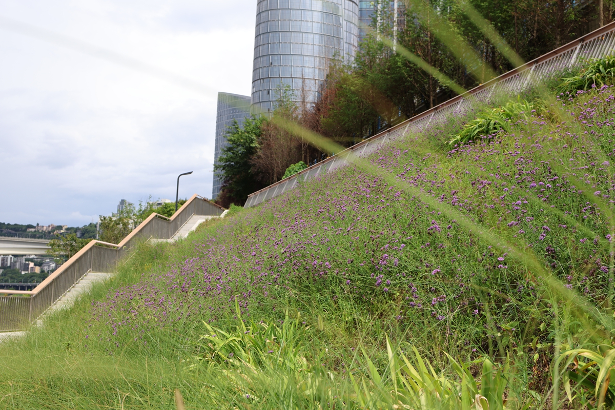 1753949567711386.jpg 5.jpg