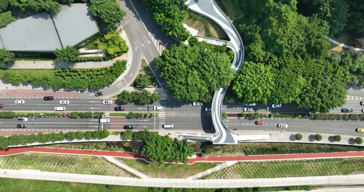 1753949584720817.jpg 7.jpg